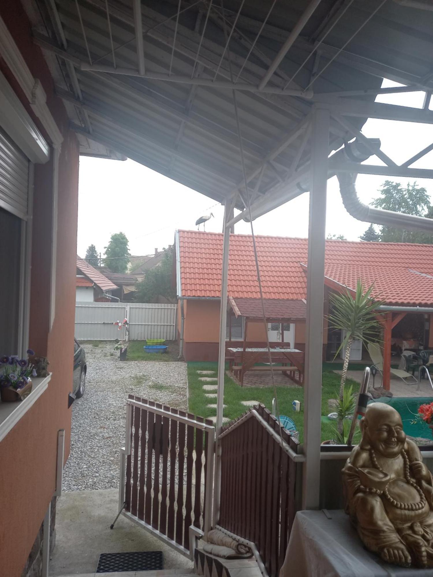 Apartment Grevia